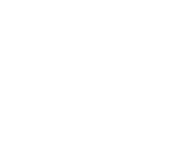 Ayara Wellness LLC